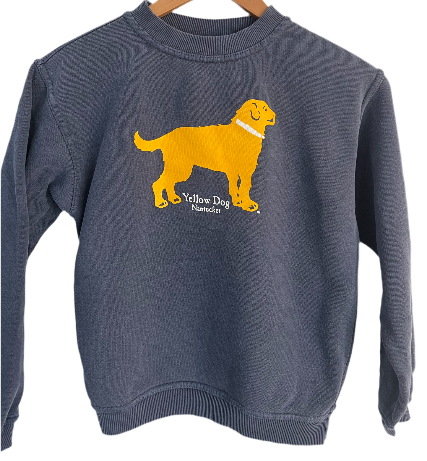 Youth Yellow Dog Crew Neck Sweatshirt Ocean Washed Nantucket Blue Limited Edition 100% Cotton