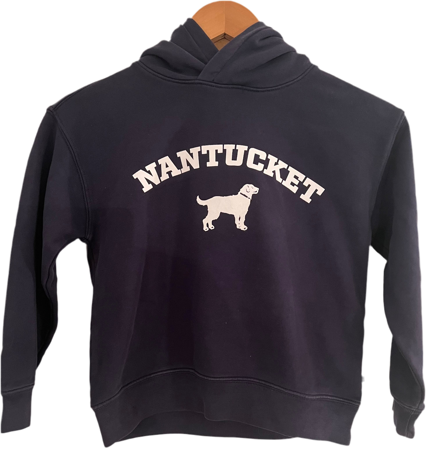 Yellow Dog Nantucket Golden Retriever Boys Hoodie Sweatshirt