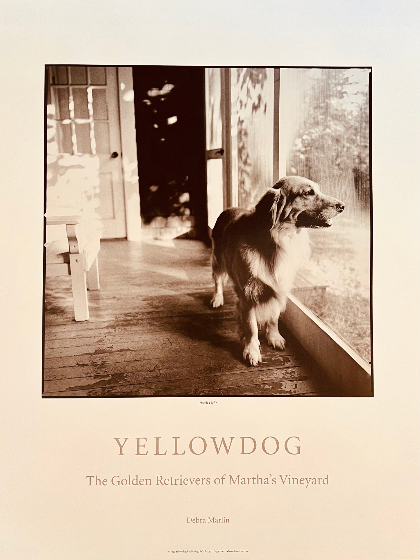 Yellow Dog® Fine Art Print: Golden Retriever Porch Light